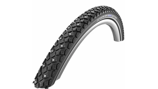 Schwalbe Winter nastarengas 47-559 (26)