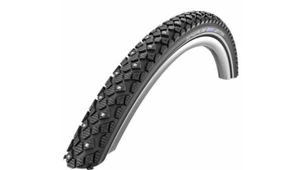 Schwalbe Winter nastarengas 30-349 (16)