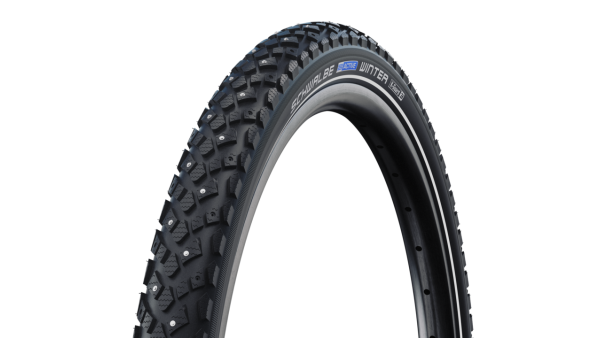 Schwalbe Winter nastarengas 622 (28)