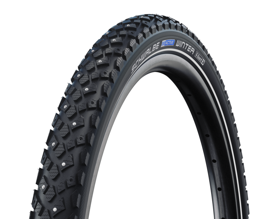 Schwalbe Winter nastarengas 622 (28)